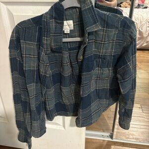 American Eagle Outfitters Blue Plaid Crop Top